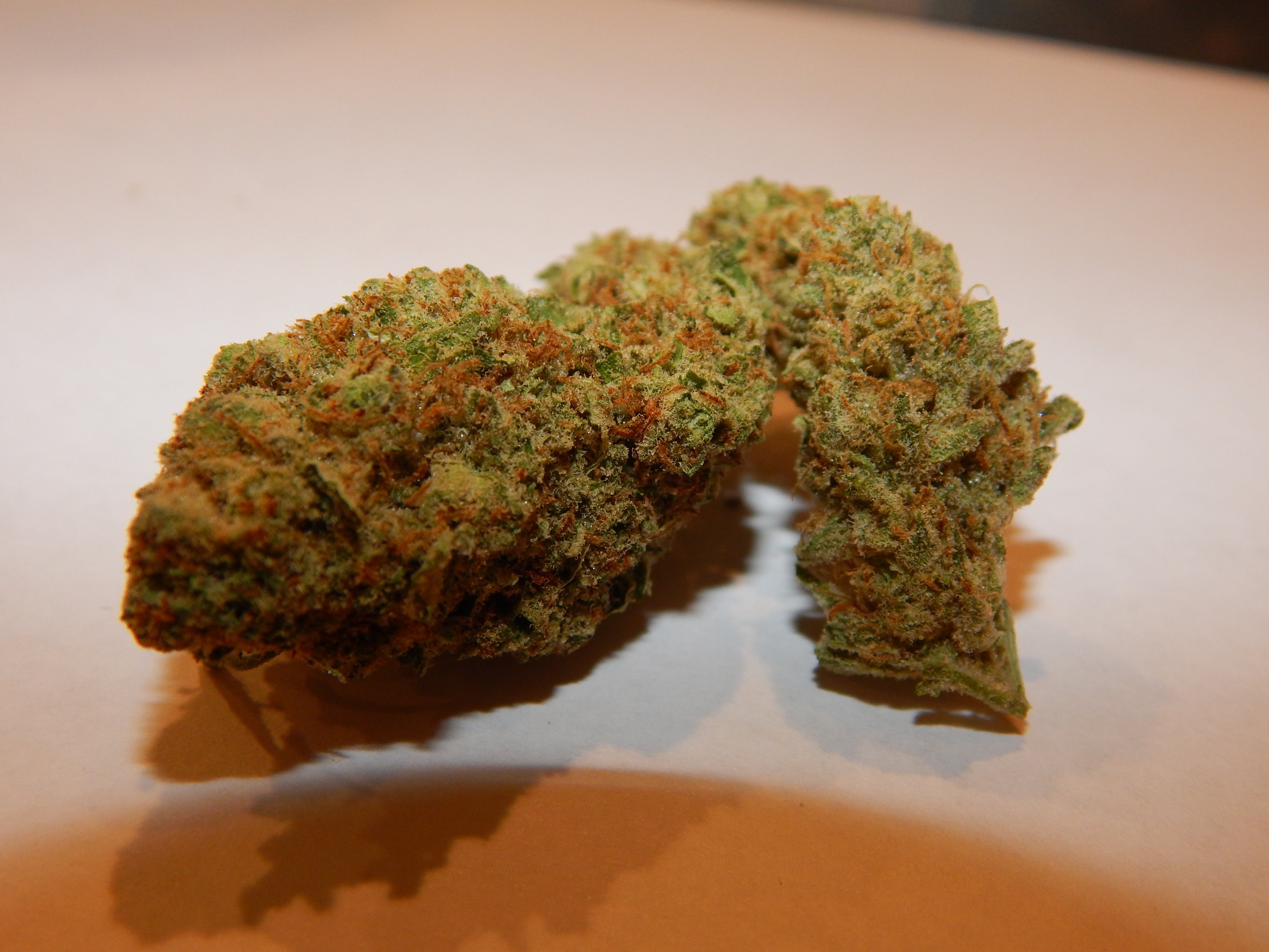 marijuana-dispensaries-headmaster-mmj-in-colorado-springs-orange-hill-special