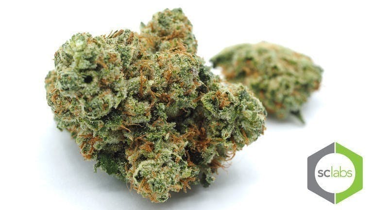marijuana-dispensaries-new-era-collective-in-anaheim-orange-pellegrino