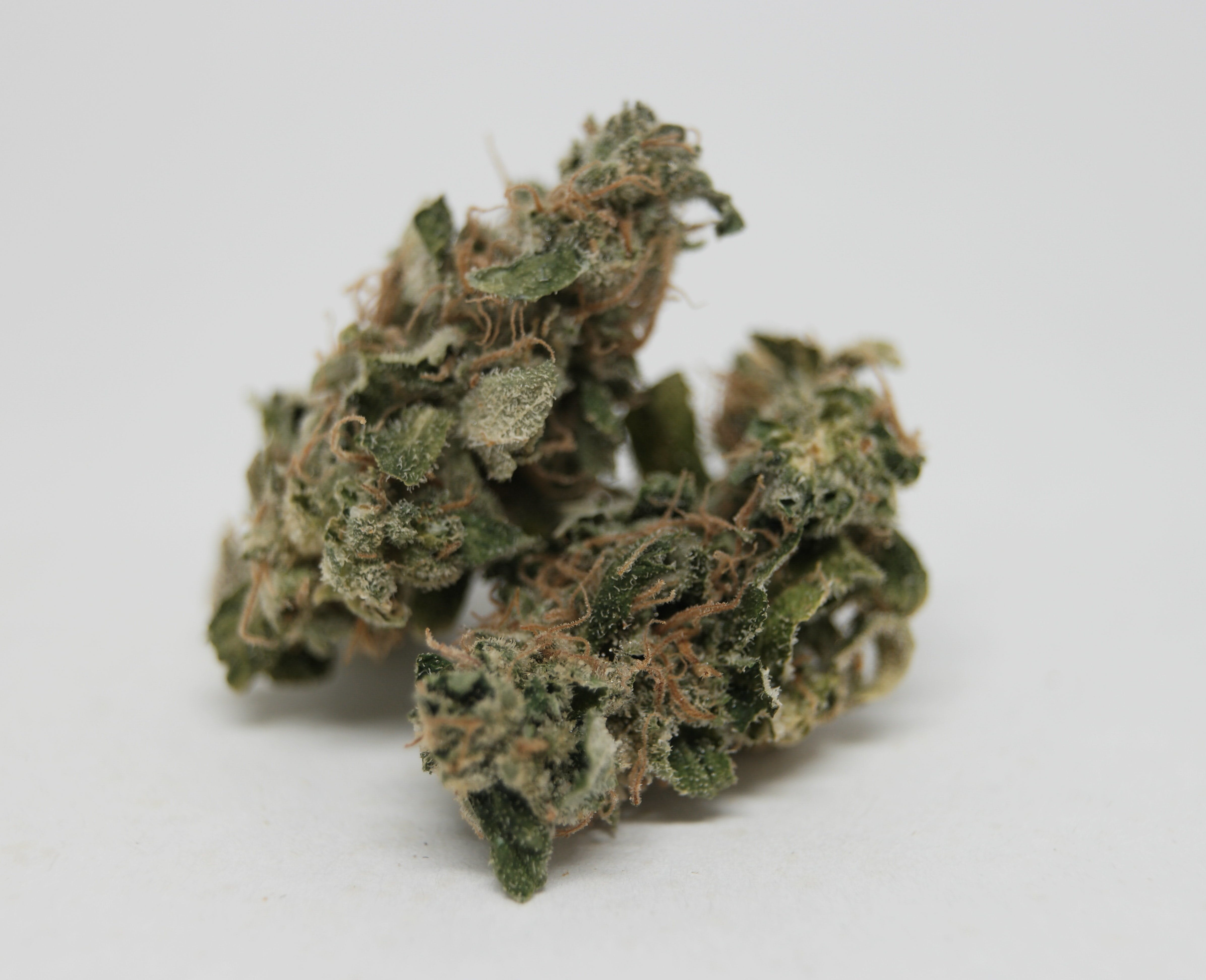 marijuana-dispensaries-511-30th-ave-fairbanks-orange-sherbert-2410-grams-21-21