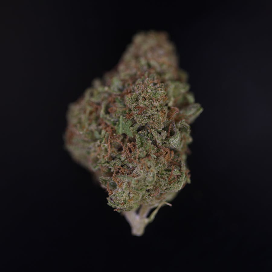 marijuana-dispensaries-evergreen-santa-ana-92705-in-santa-ana-orange-zkittles