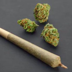 Orangeade Single Pre-Roll 0.5 G - District Cannabis