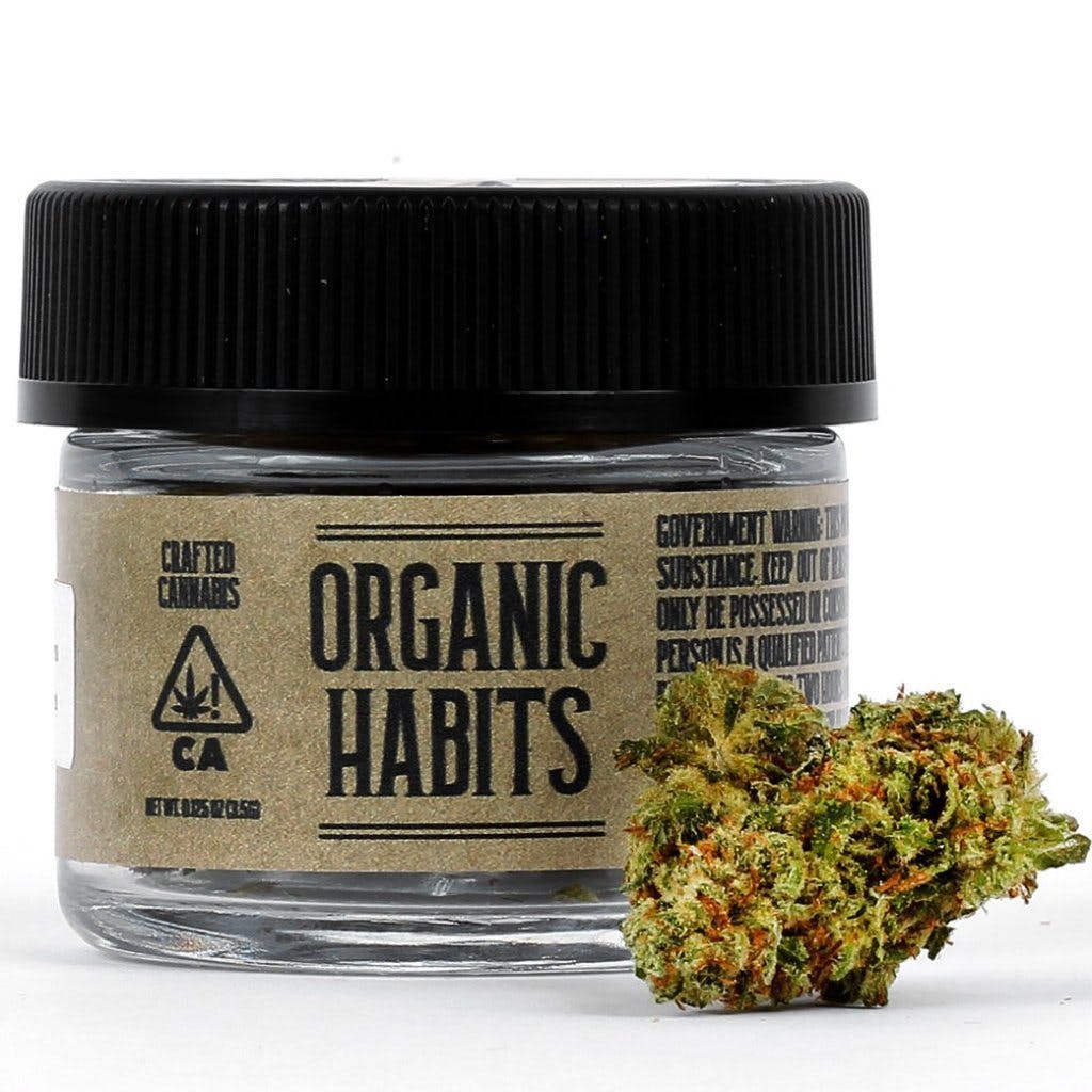 Organic Habit Black Jack