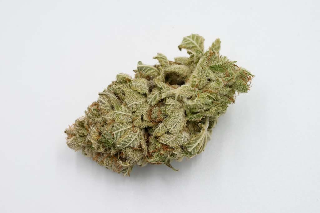 marijuana-dispensaries-apothca-arlington-in-arlington-original-glue-234