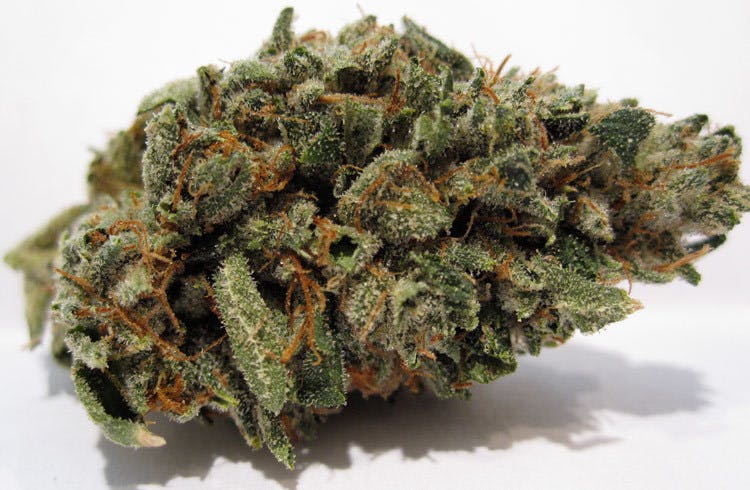 marijuana-dispensaries-the-healing-center-thc-in-needles-oz-elite-skywalker-og
