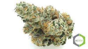marijuana-dispensaries-27-spectrum-pointe-suite-305-lake-forest-pabloog-premium