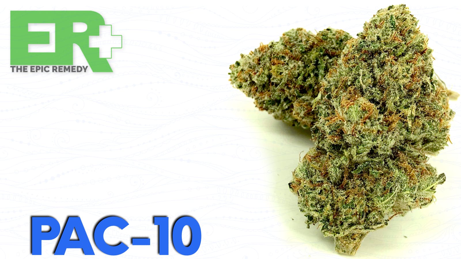 marijuana-dispensaries-the-epic-remedy-academy-in-colorado-springs-pac-10