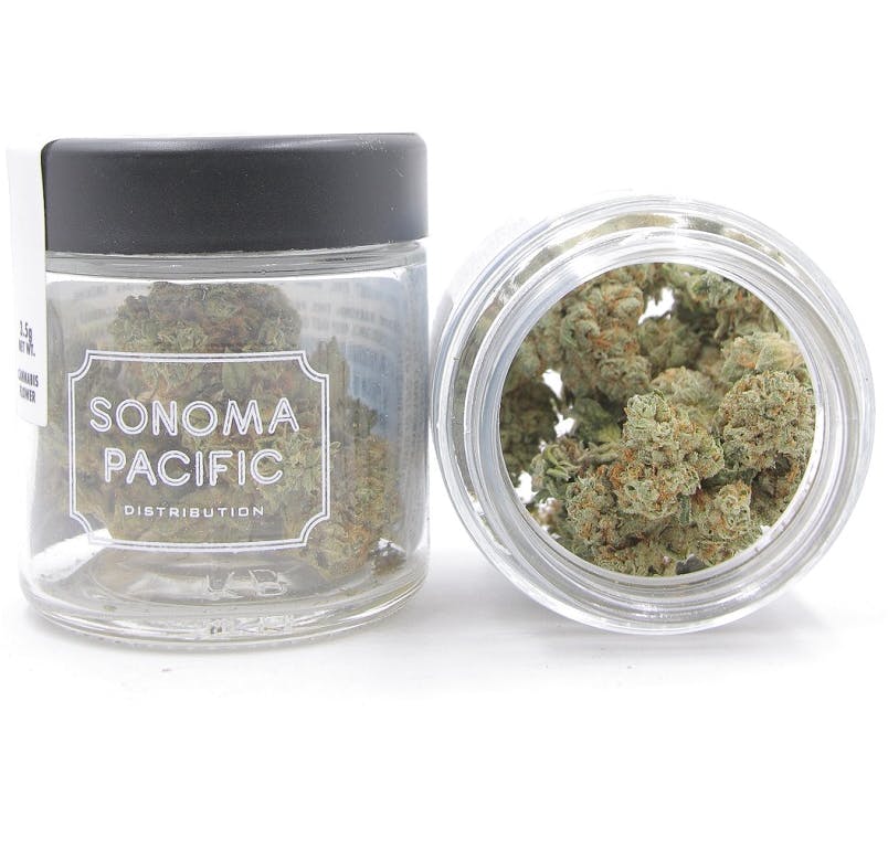 hybrid-pacific-frost-by-sonoma-pacific