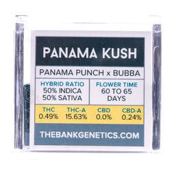 marijuana-dispensaries-the-clinic-on-colfax-medical-in-denver-panama-kush
