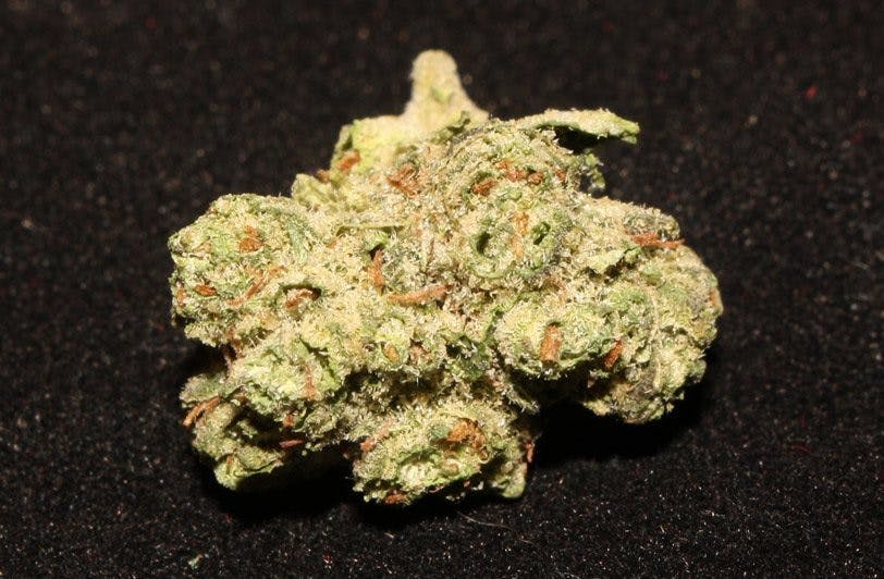 marijuana-dispensaries-4845-van-gordon-st-wheat-ridge-panama-punch-tax-included