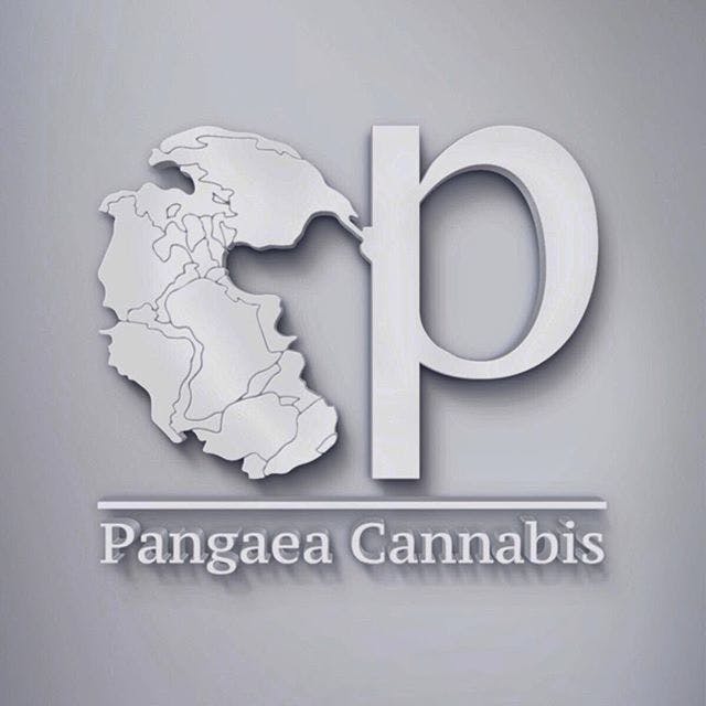 Pangaea Extracts 1g Distillate Cartridges