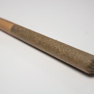 Paris Individual Pre-Roll Joint