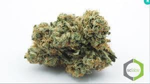 marijuana-dispensaries-207-e-florida-ave-hemet-paris-og-top-shelf