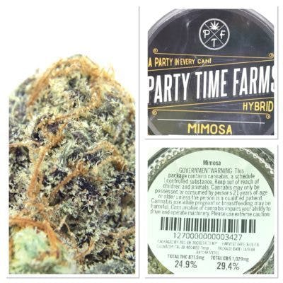 Party Time - Mimosa [29%]