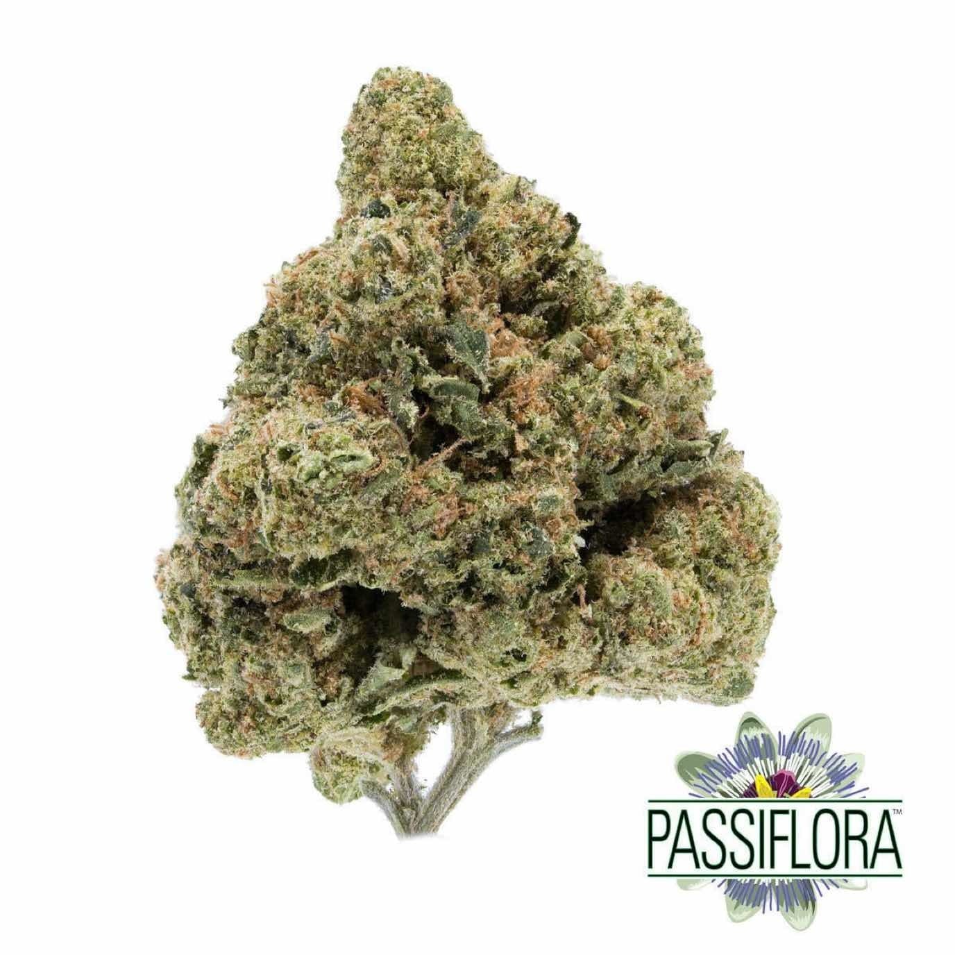 marijuana-dispensaries-1515-n-cahuenga-blvd-los-angeles-passiflora-berry-white-1g