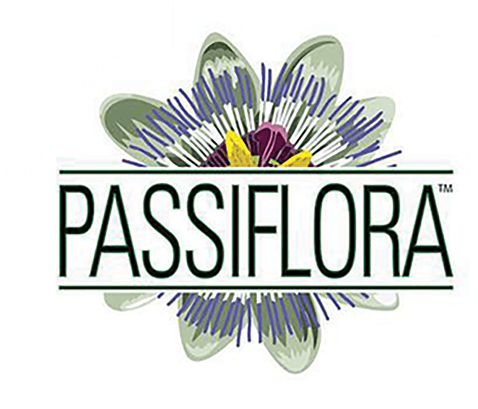 Passiflora - Berry White