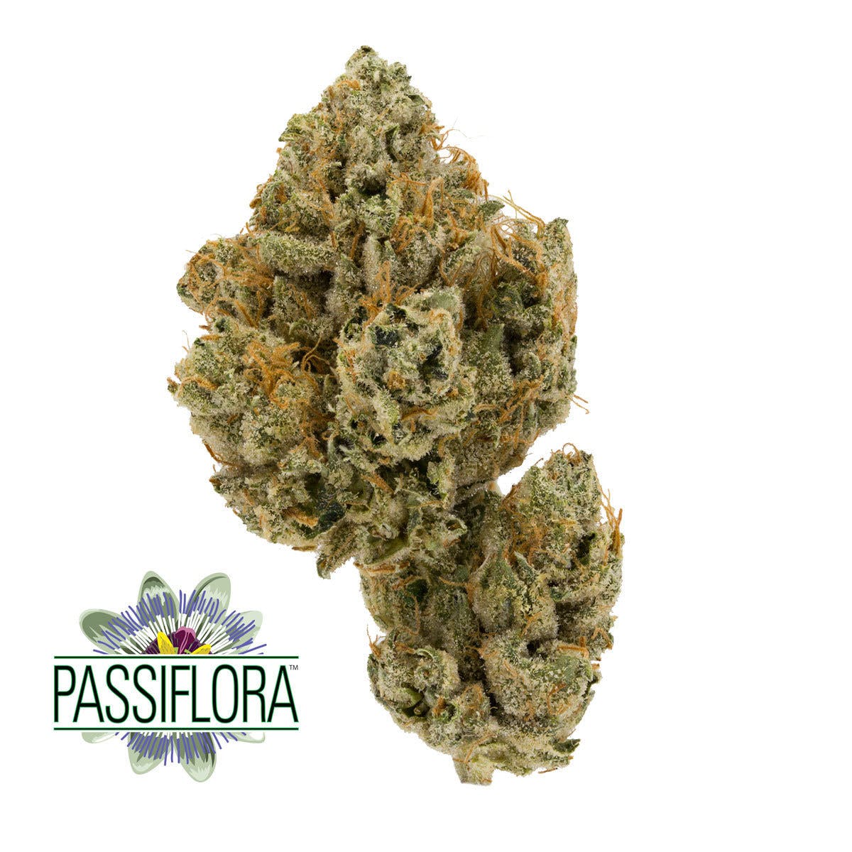 Passiflora - DC's True OG
