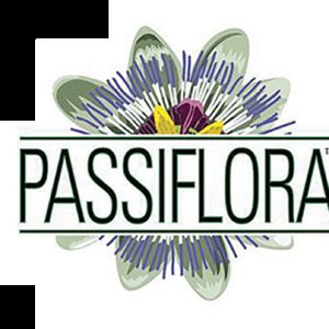 Passiflora - Slymer