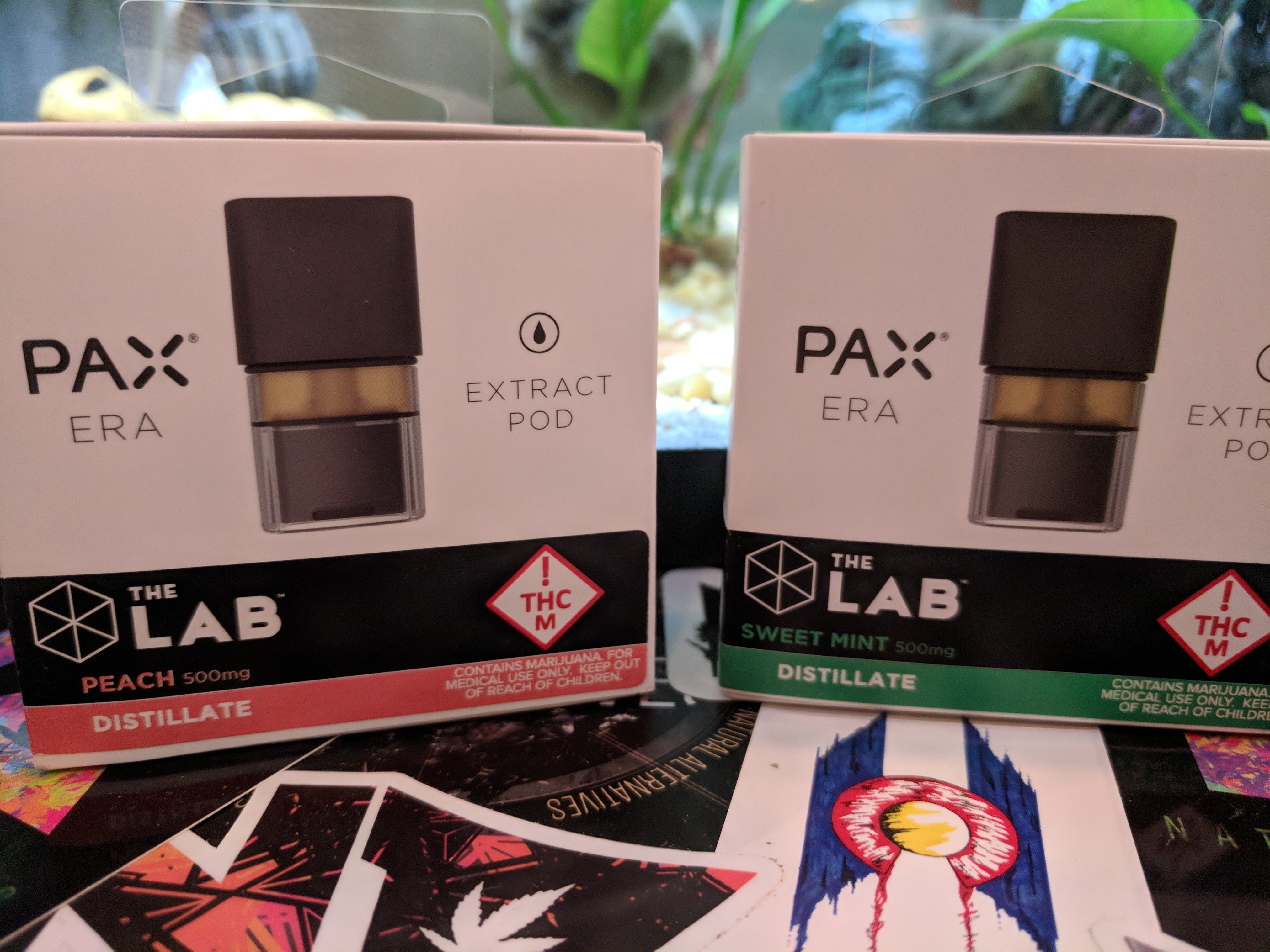 concentrate-pax-era-distillate-pods-tax-included