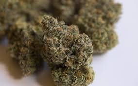 marijuana-dispensaries-17246-vanowen-street-van-nuys-payaso-grow-dosido-exclusive