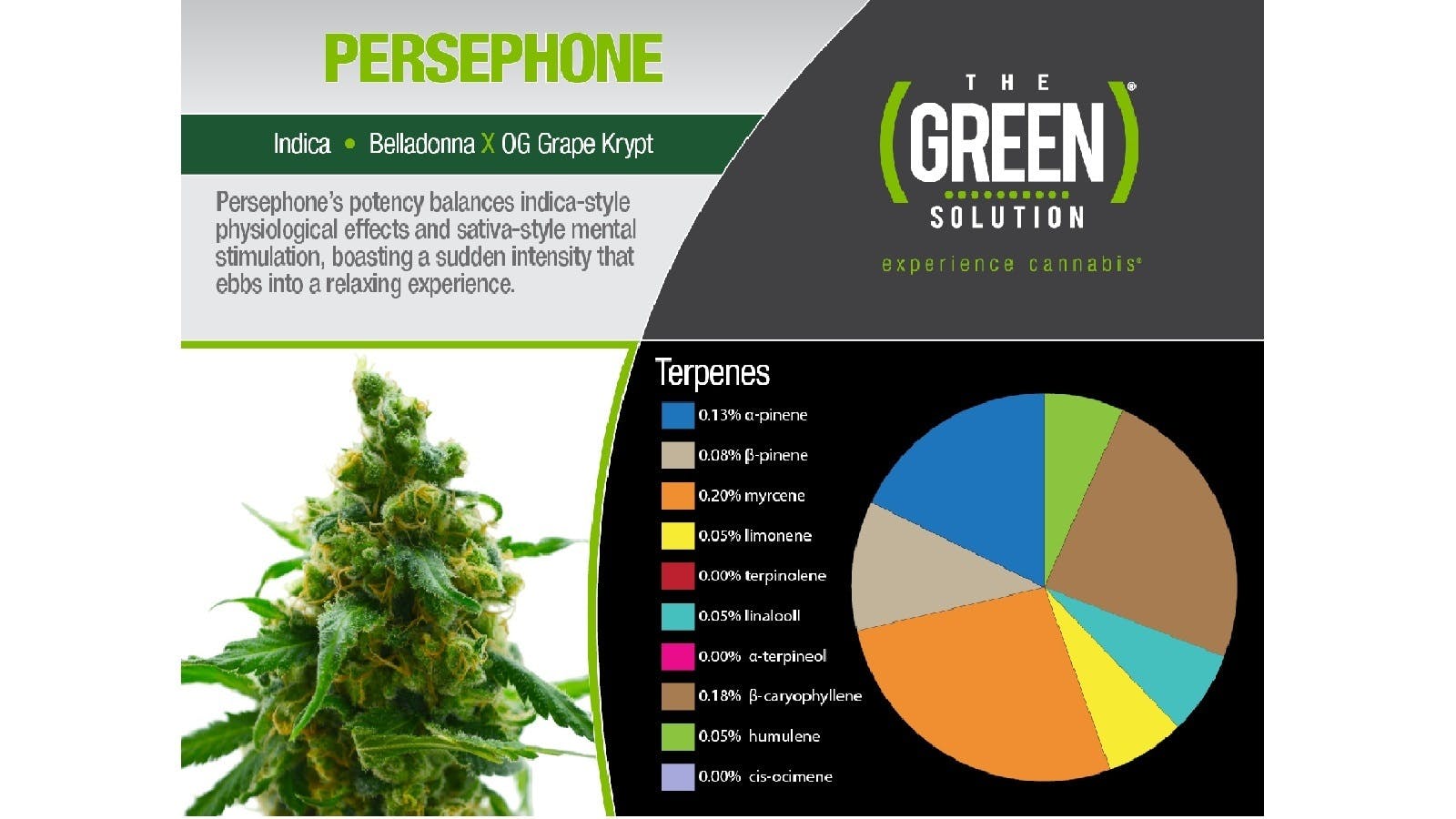 marijuana-dispensaries-the-green-solution-sheridan-in-sheridan-persephone