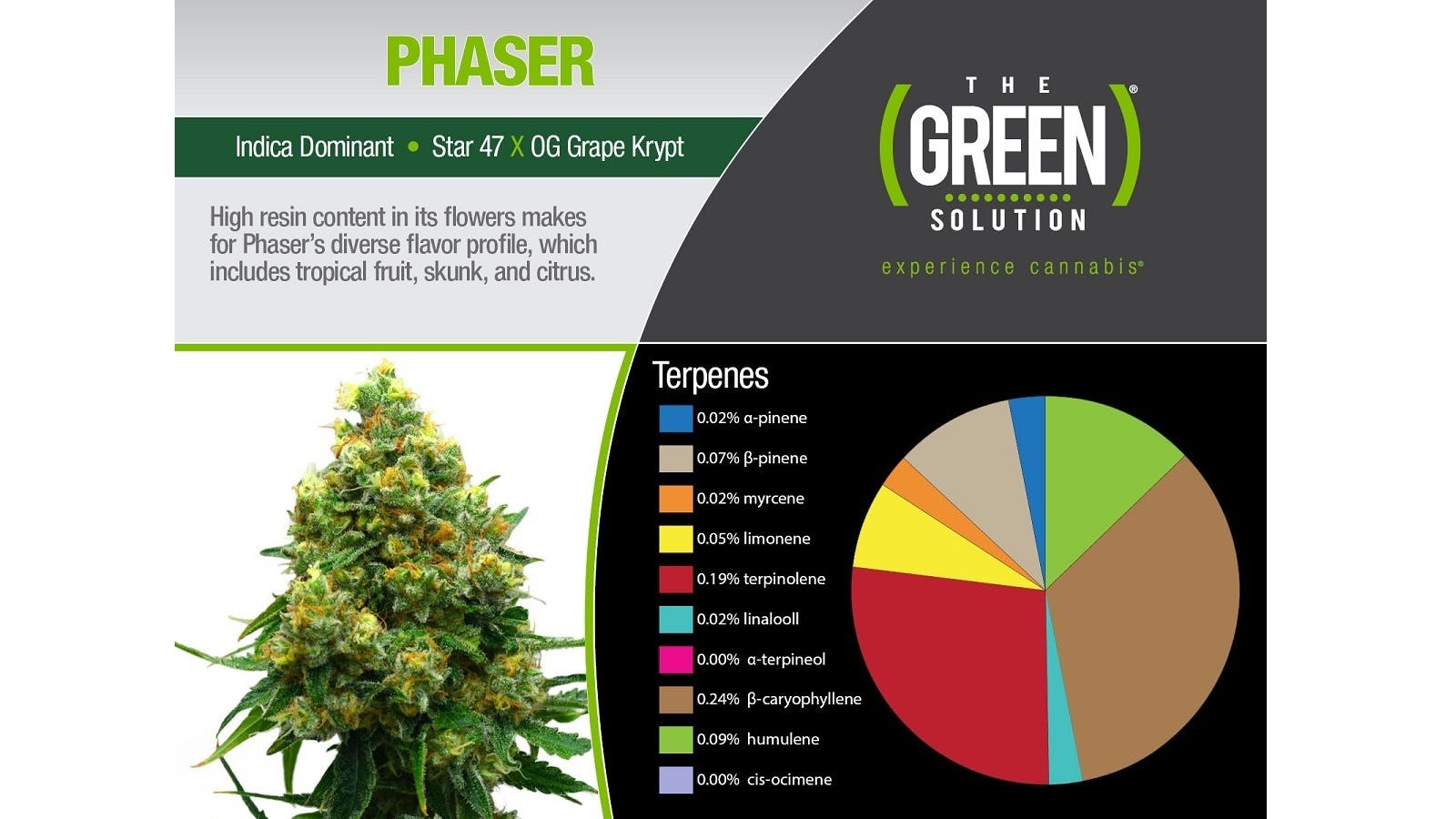 marijuana-dispensaries-the-green-solution-sheridan-in-sheridan-phaser