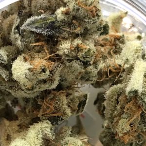 Phinest Cannabis - Rocstar