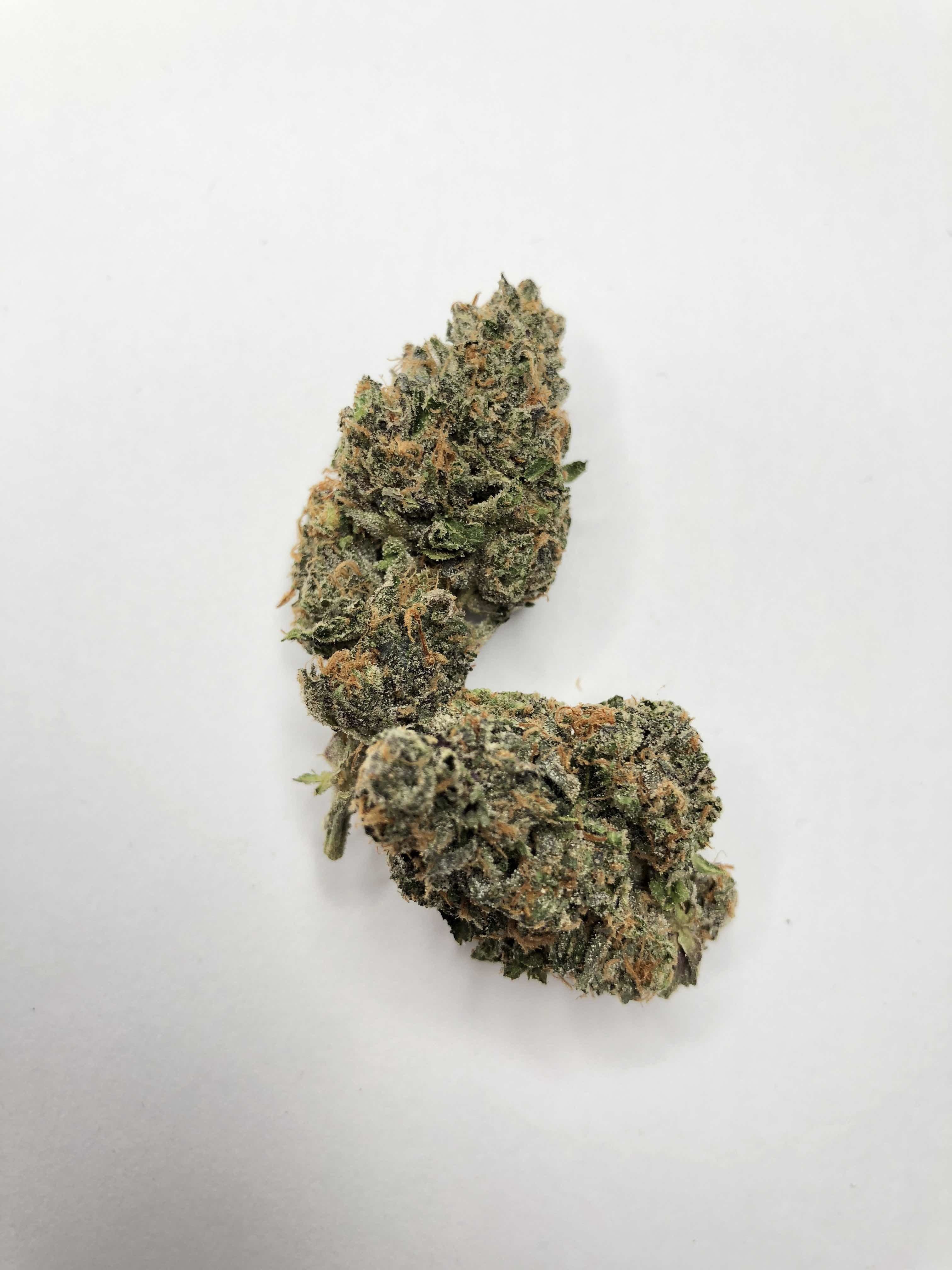 marijuana-dispensaries-super-clinik-east-santa-ana-in-santa-ana-pie-face-og