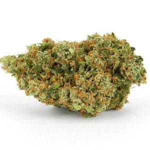 PINA GRANDE BY PAYASO GROW *EXCLUSIVE* (5G FOR $40 SPECIAL!!!)