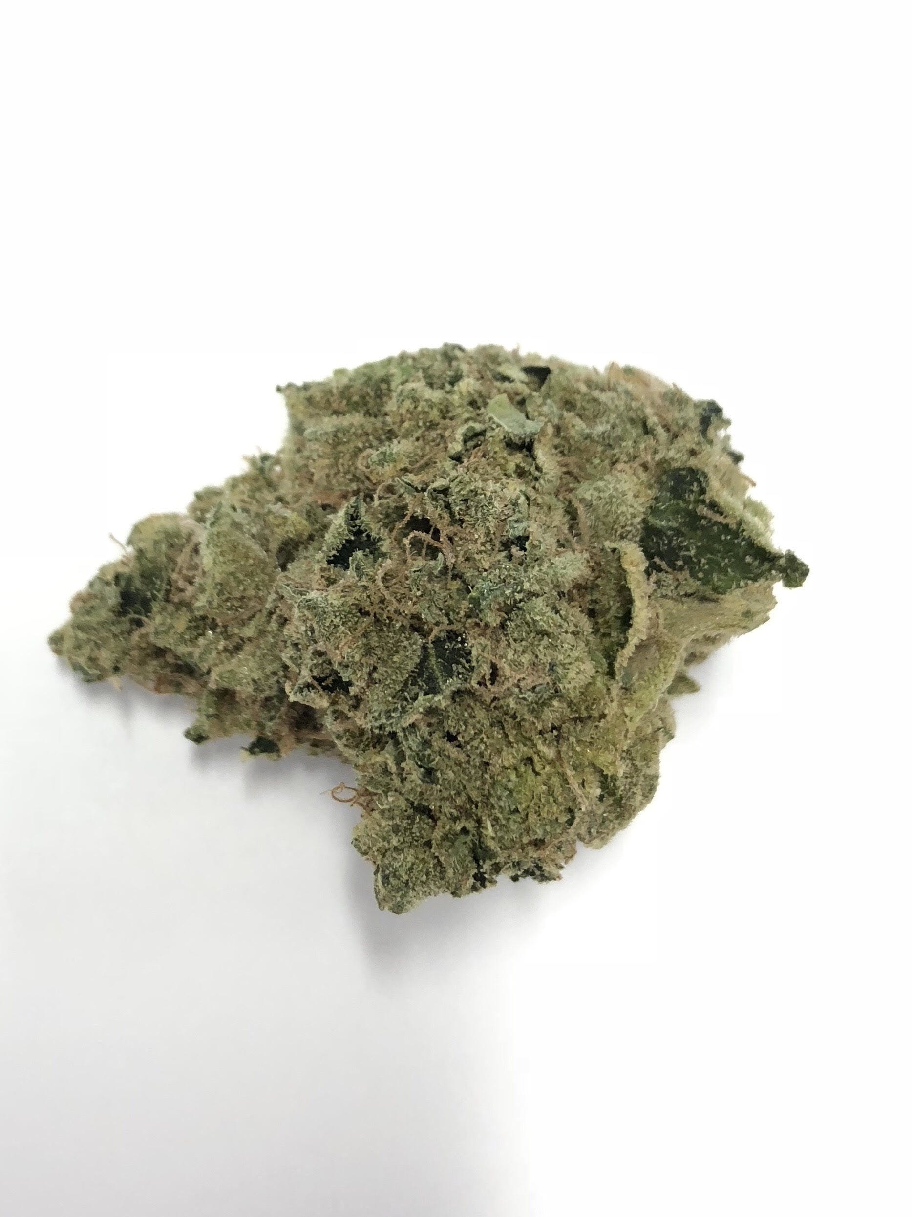 marijuana-dispensaries-6102-vineland-ave-north-hollywood-pina-grande-by-payaso-grow-platinum