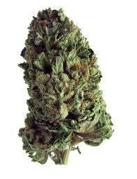 marijuana-dispensaries-rocky-mountain-high-wazee-in-denver-pine-soul-og