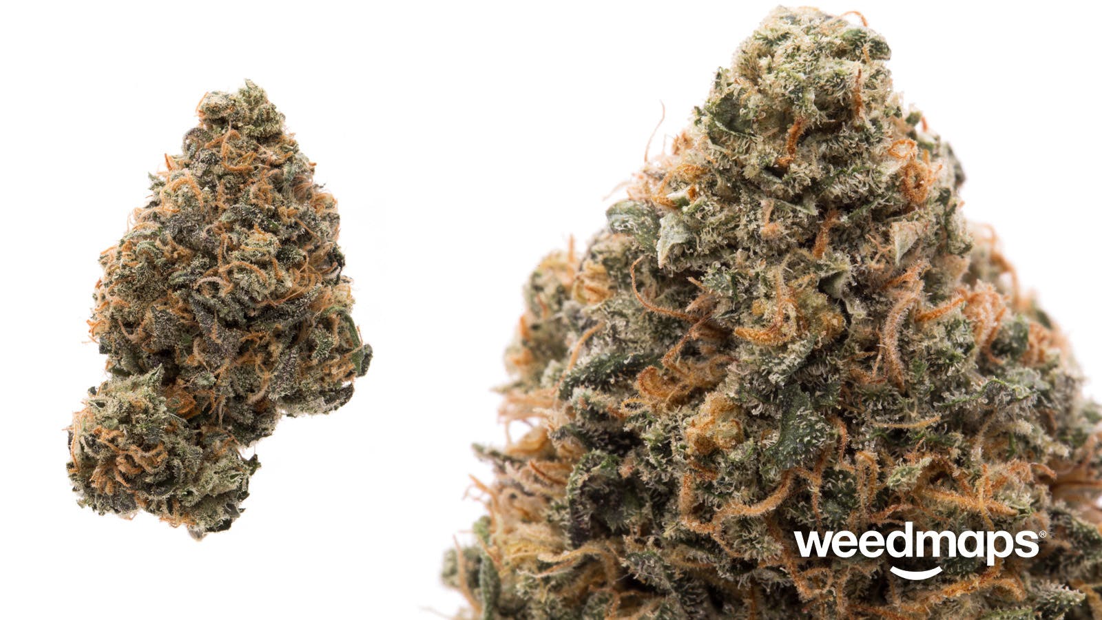 marijuana-dispensaries-the-medicine-room-in-winslow-pineapple-chunk