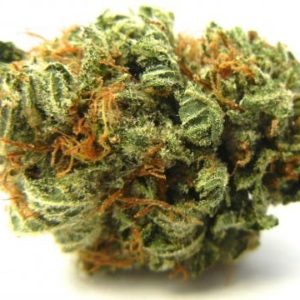 PINEAPPLE EXPRESS (5G FOR $35)