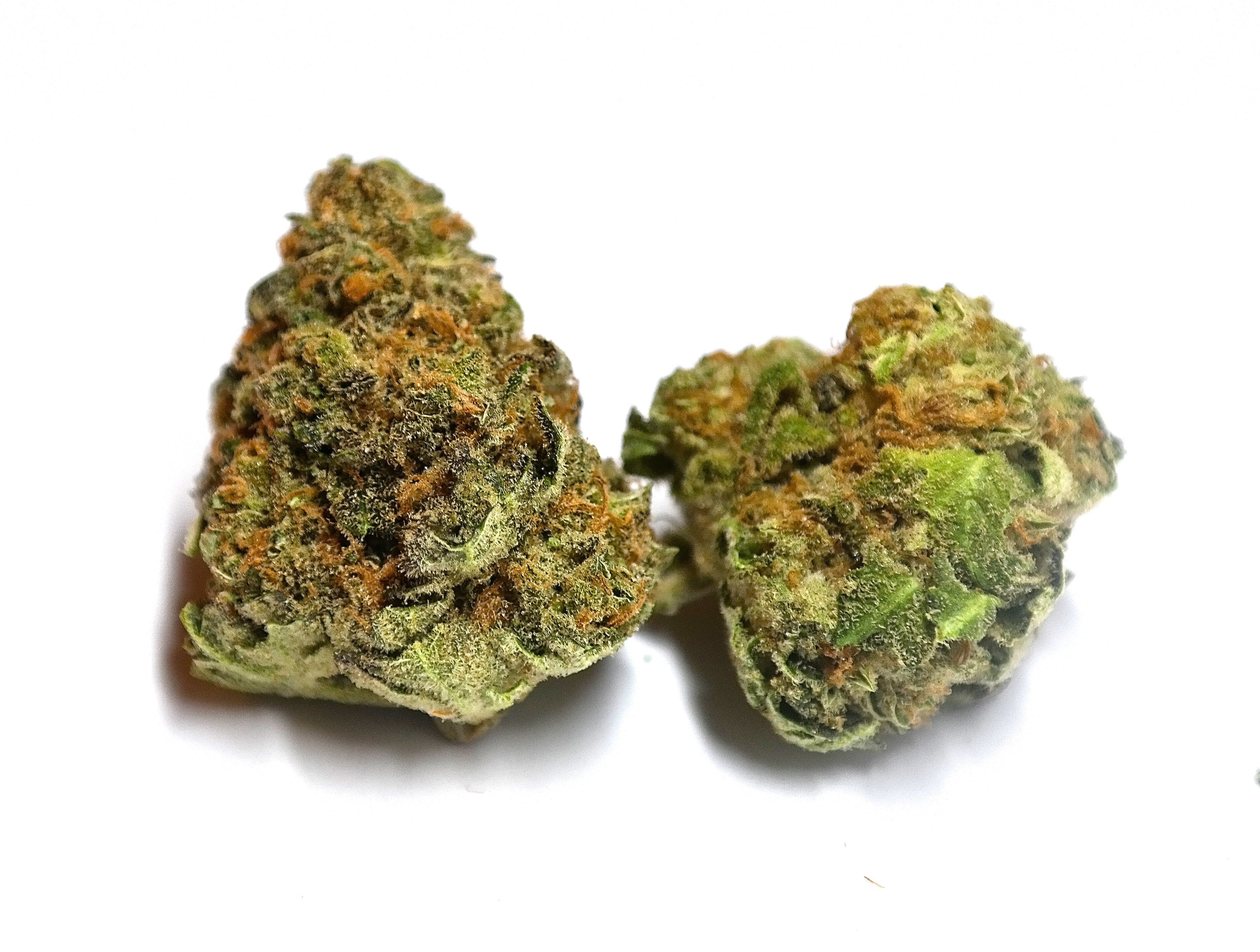 marijuana-dispensaries-tweedleaf-colorado-in-colorado-springs-pineapple-express-sativa-hybrid