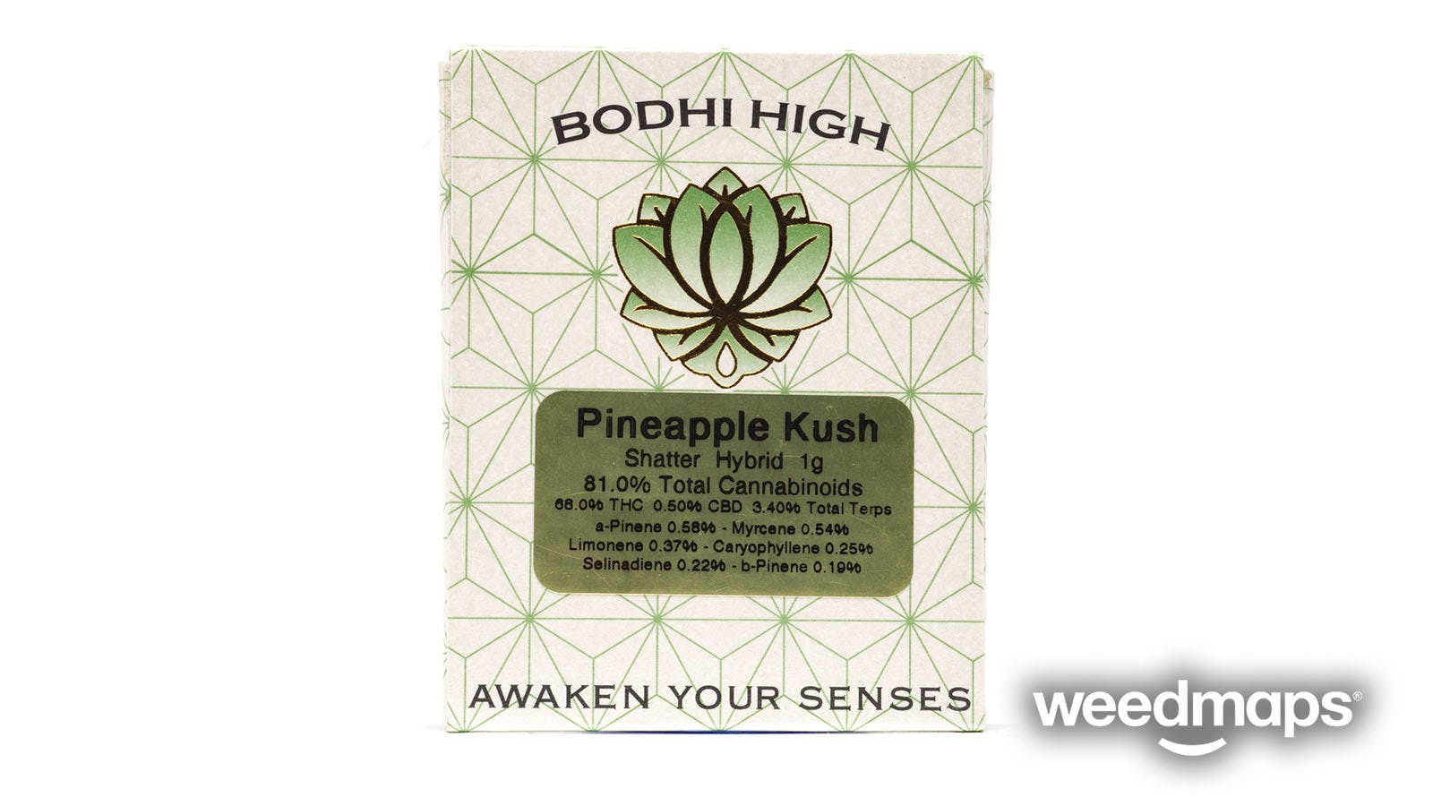 concentrate-pineapple-kush-bodhi-high