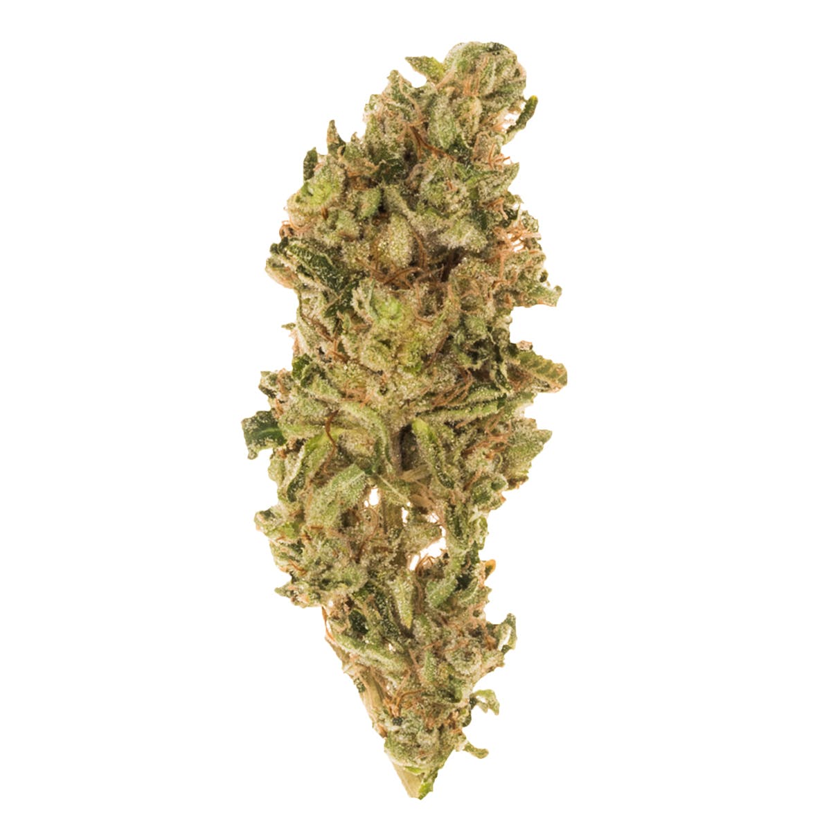 marijuana-dispensaries-14901-oxnard-street-van-nuys-pineapple-sage