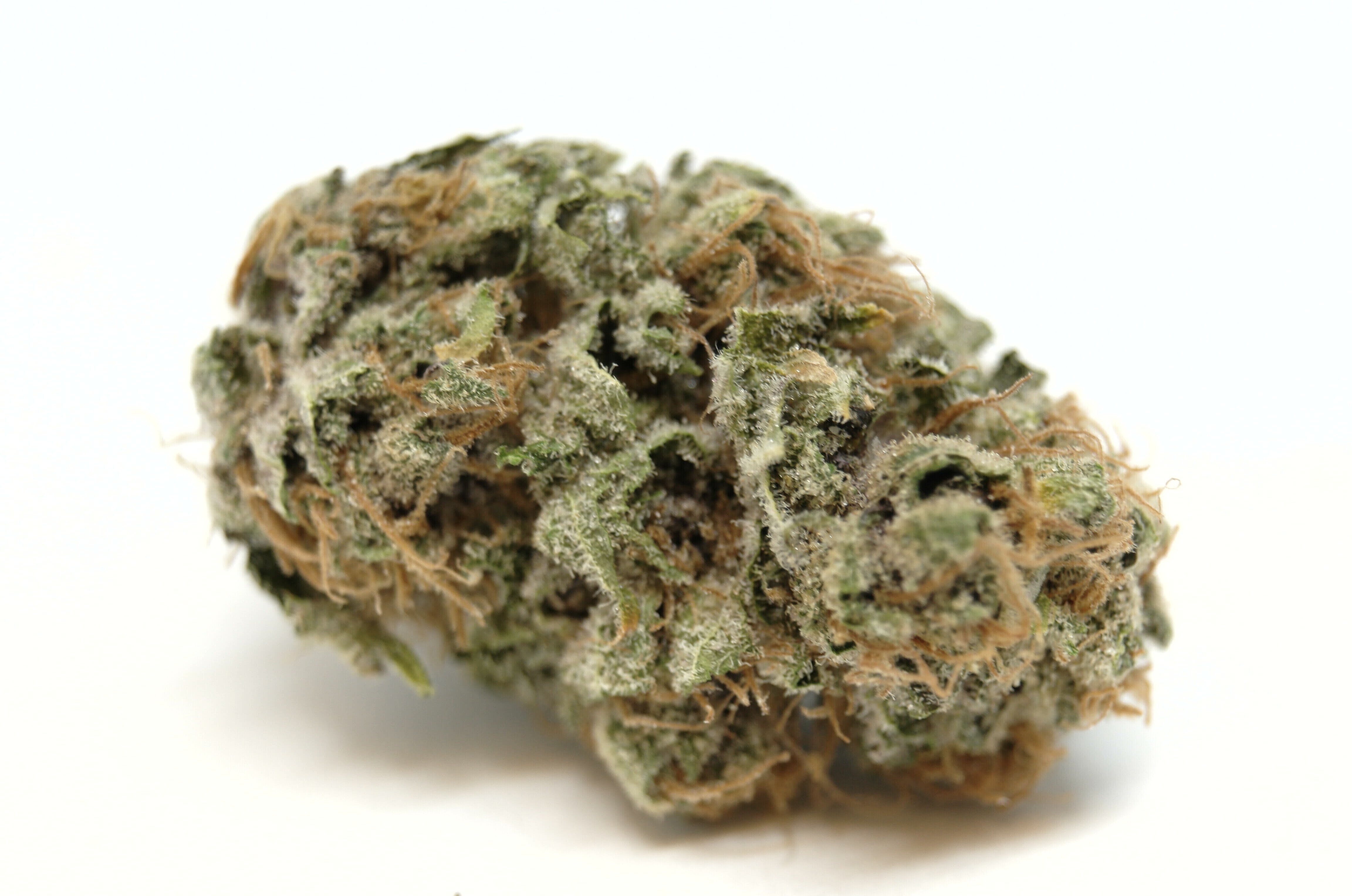 marijuana-dispensaries-511-30th-ave-fairbanks-pink-bubble-gum-2410-grams-21-21