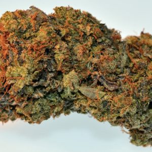 Pink Star - Daily Special