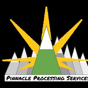 Pinnacle Processing - Z.P.K. 1g BHO Shatter