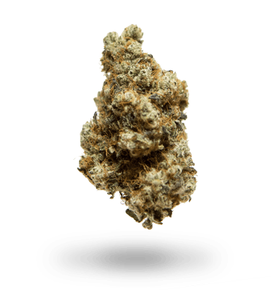 marijuana-dispensaries-2384-nw-thurman-st-portland-pkt-purple-urkle-x-trainwreck