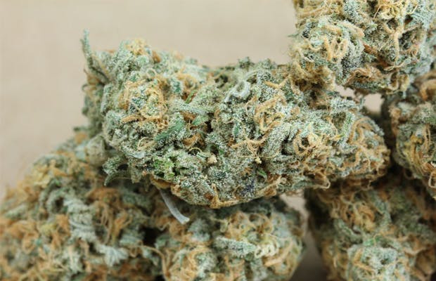 marijuana-dispensaries-927-12-western-ave-los-angeles-platinum-blue-5g-2454