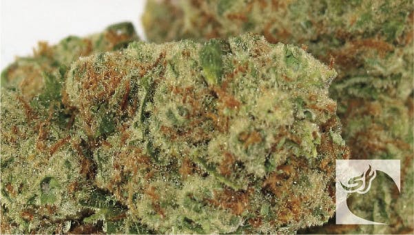 marijuana-dispensaries-supreme-purity-in-costa-mesa-platinum-blue-dream