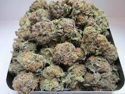 marijuana-dispensaries-2618-e-foothill-blvd-unit-c-san-bernardino-platinum-bubba-kush-dailydeal