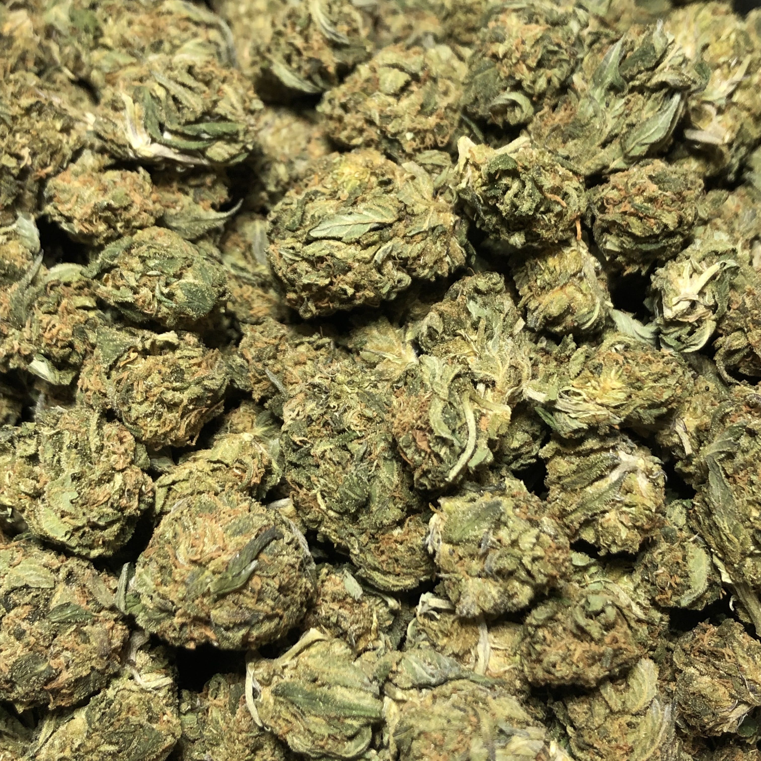 marijuana-dispensaries-green-plus-in-oklahoma-city-platinum-cookies