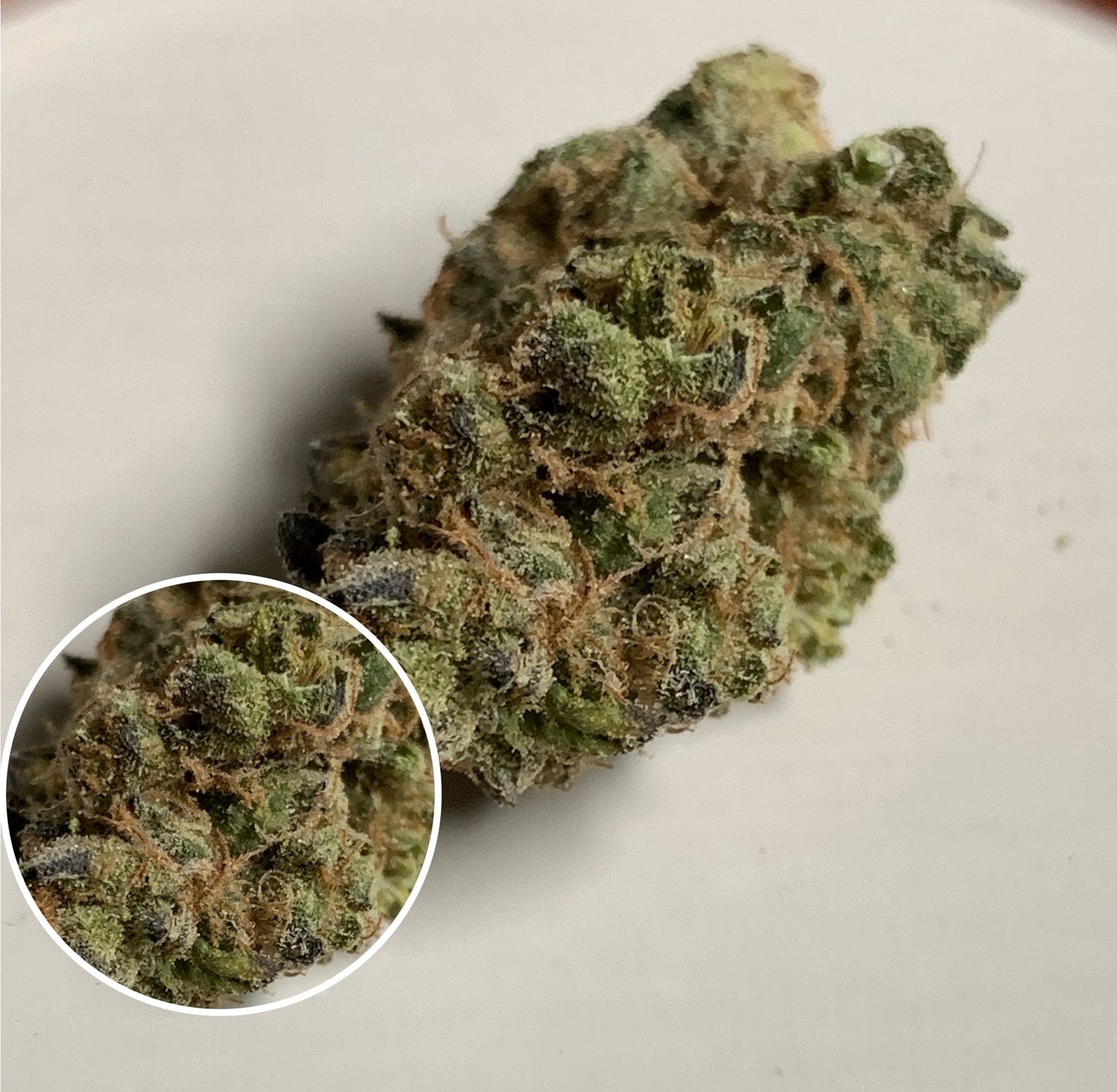 marijuana-dispensaries-2285-south-santa-fe-231-vista-platinum-purple