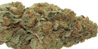 marijuana-dispensaries-1302-north-wilmington-blvd-wilmington-platinum-reserve-mango-sherbert-5g40