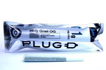 Plugd- Holy Grail preroll