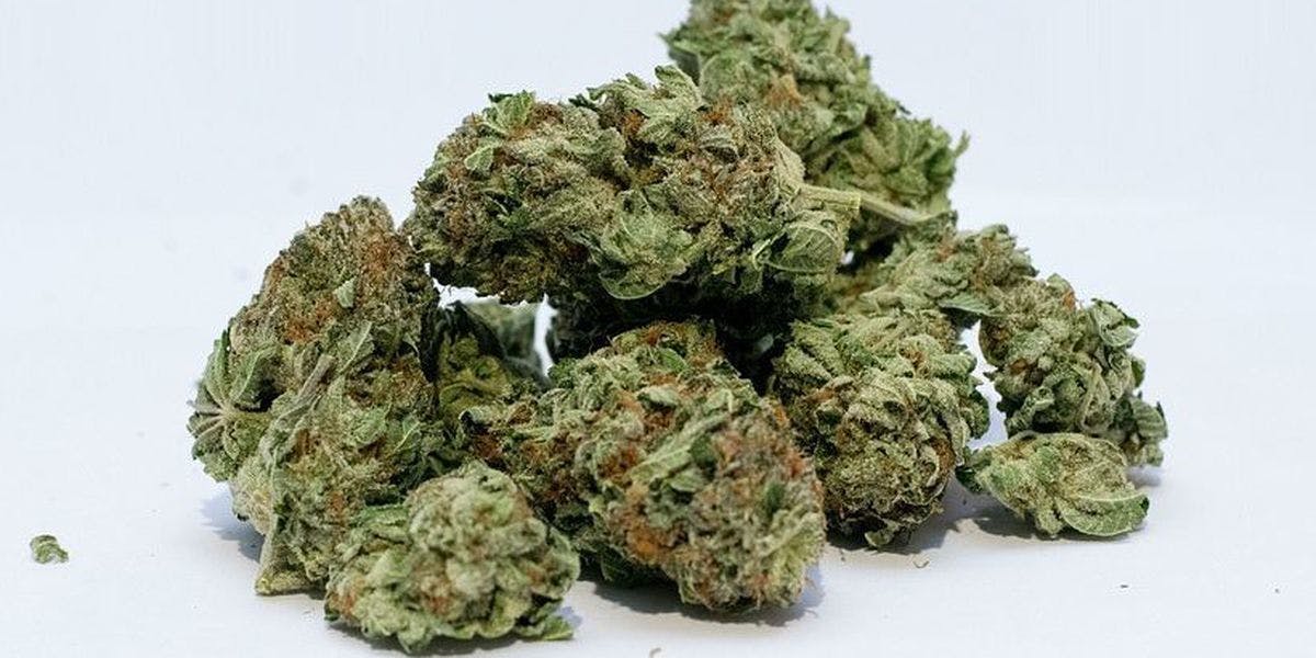 marijuana-dispensaries-15333-sherman-way-van-nuys-pluto-kush