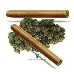 preroll-pootie-tang-by-grass-roots-take-5