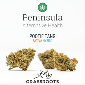 'Pootie Tang' by Grassroots