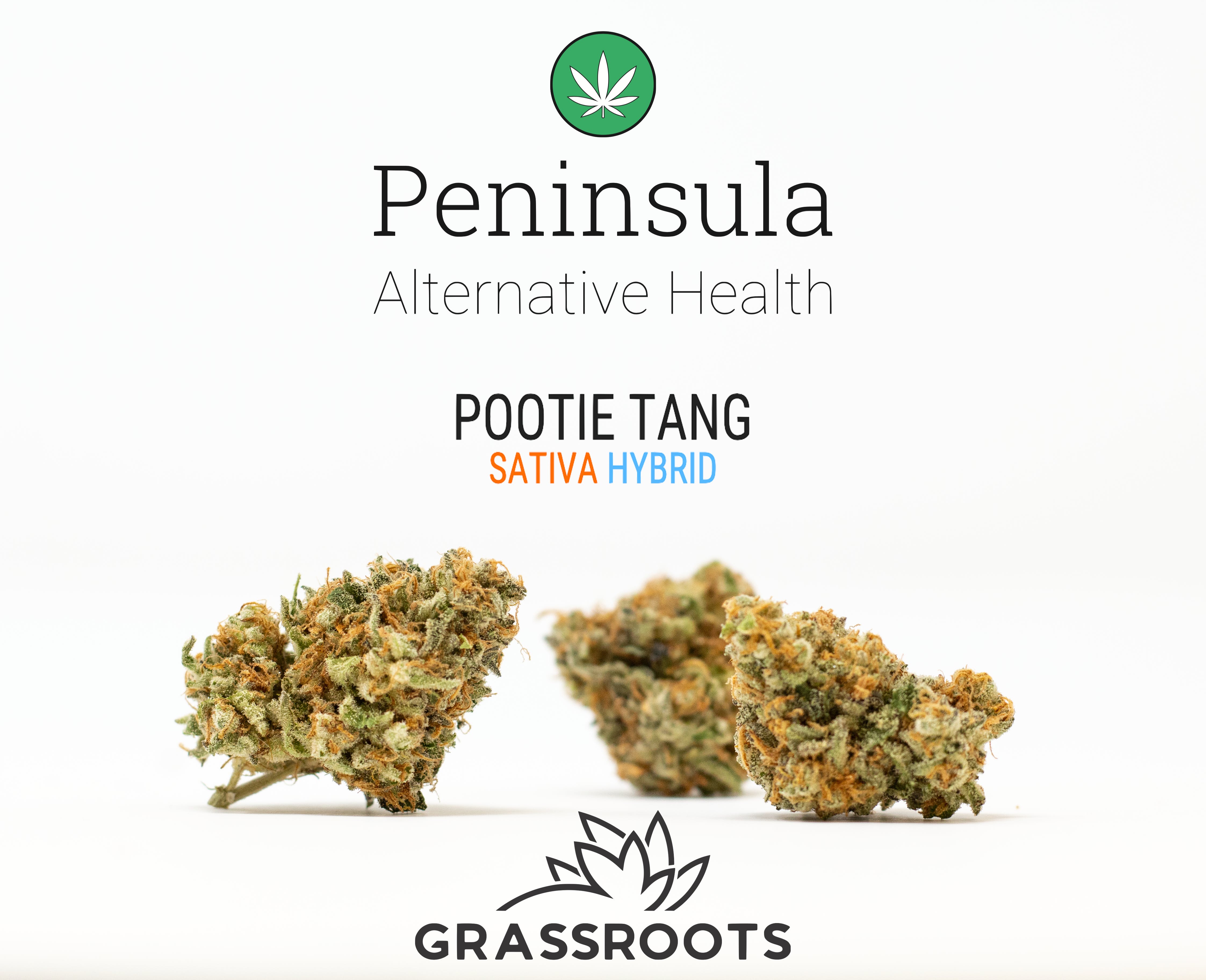 Pootie Tang By Grassroots